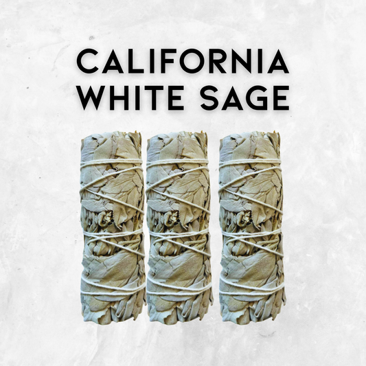 4″ California White Sage Smudge Sticks – Cleansing, Purification & Ritual purpose