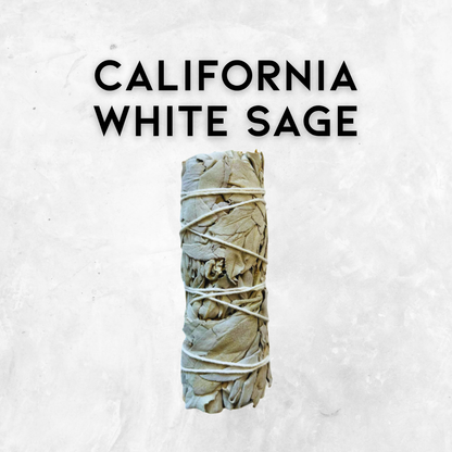 4″ California White Sage Smudge Sticks – Cleansing, Purification & Ritual purpose